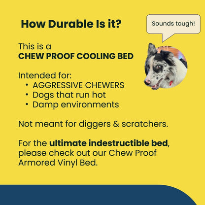 Chew Proof Elevated Cot Bed, S, Black Mesh | Virtually Indestructible Bed for Aggressive Chewers, Comes Preassembled, Indoor/Outdoor/Crate Use, Small: 29" X 18"