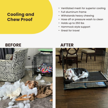 Chew Proof Elevated Cot Bed, S, Black Mesh | Virtually Indestructible Bed for Aggressive Chewers, Comes Preassembled, Indoor/Outdoor/Crate Use, Small: 29" X 18"