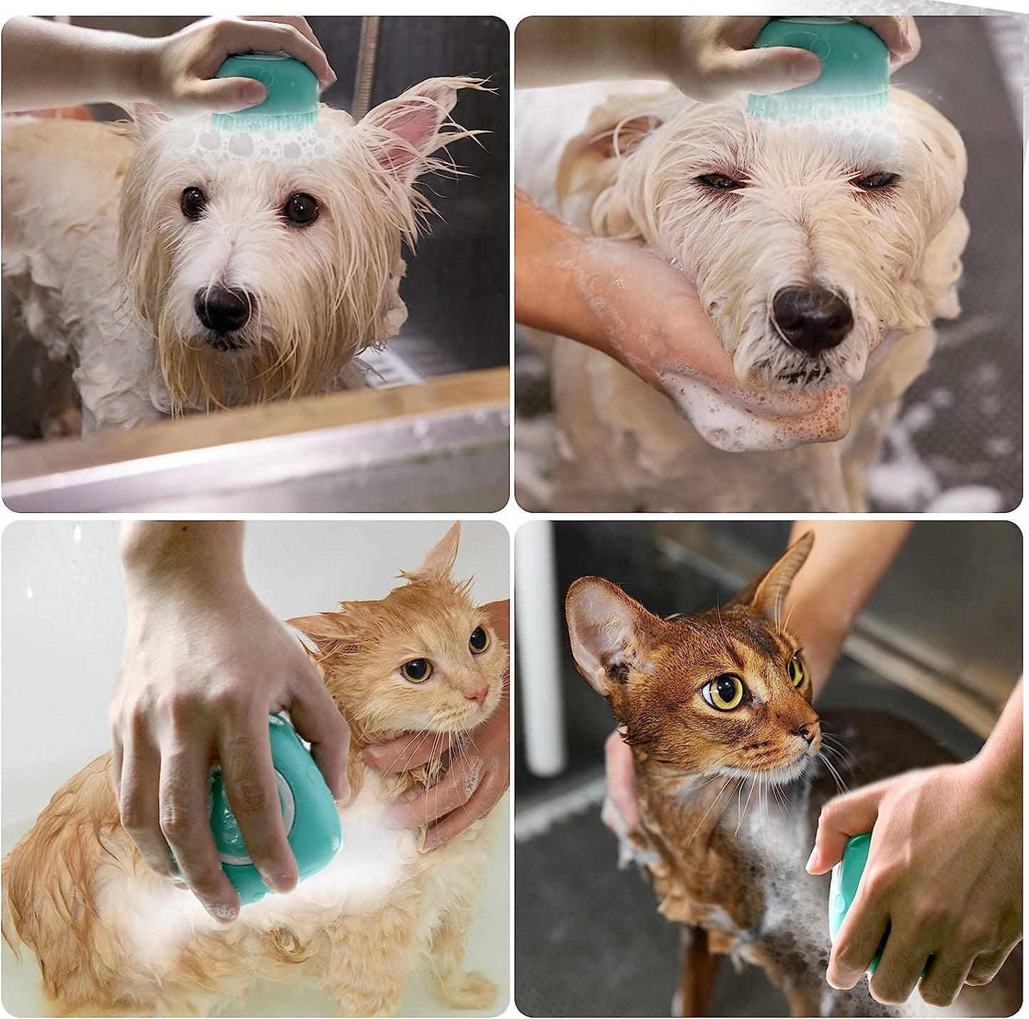Pet Bath Brush Dog Shampoo Dispenser Dog Bath Brush Scrubber (Blue) | Soft Silicone Dog Cat Grooming Brush with Shampoo Dispenser for Gentle Massage Deep Cleaning and Bathing Cat Dogs and Puppies